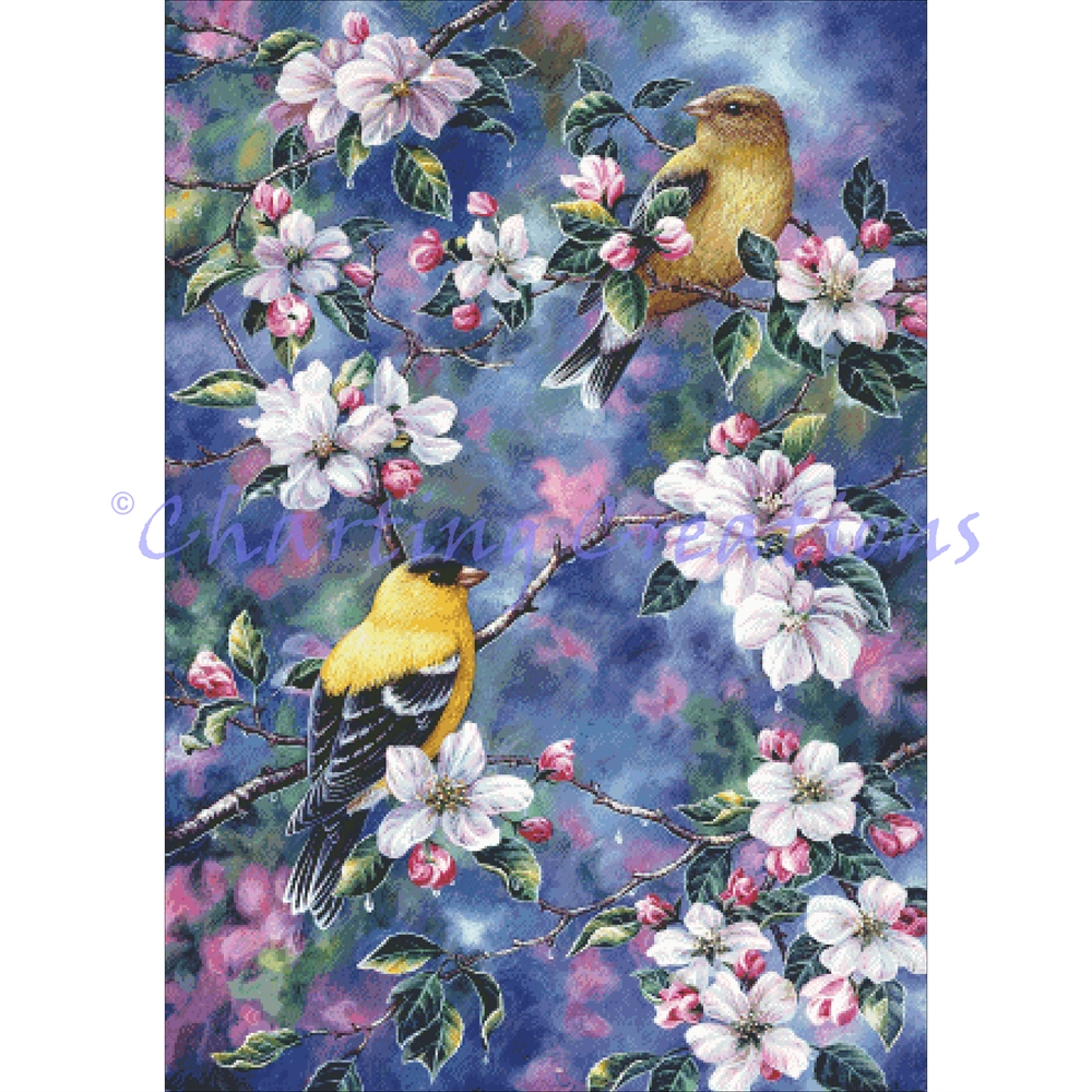 Gold Finch And Blossoms
